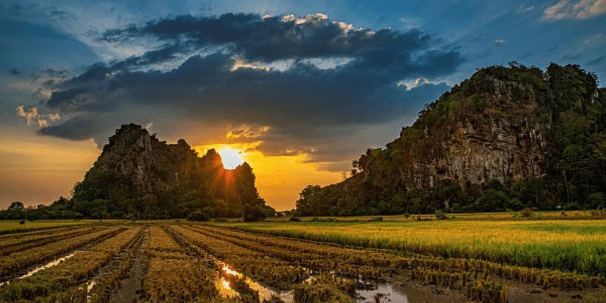 Malaysia 4-min.webp